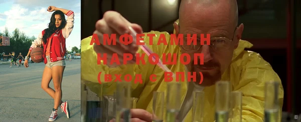 шишки Алзамай