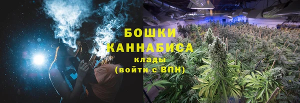 шишки Алзамай