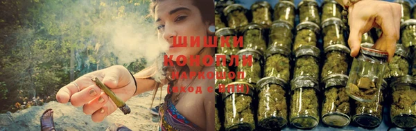 шишки Алзамай
